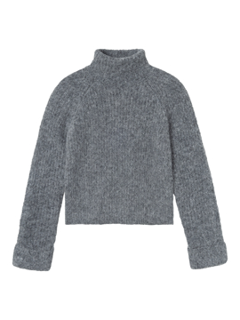 LMTD Nulo Short Turtleneck Knit