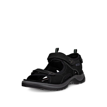 ECCO OFFROAD