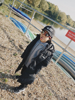 Hummel Actus Tr Breather Jr.