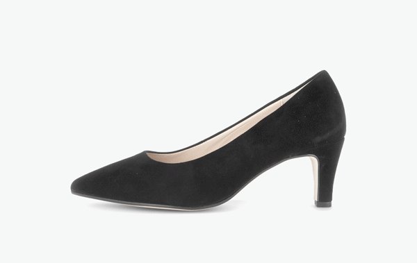 Gabor Pump